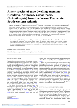 Cnidaria, Anthozoa, Ceriantharia, Ceriantheopsis) from the Warm Temperate South-Western Atlantic Se’Rgio N