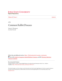 Common Rabbit Diseases Warren S