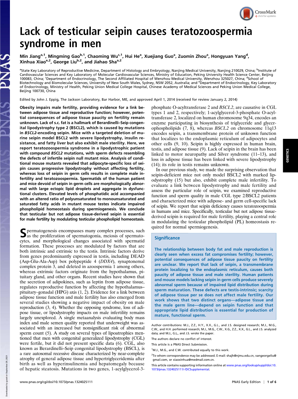 Lack of Testicular Seipin Causes Teratozoospermia Syndrome in Men