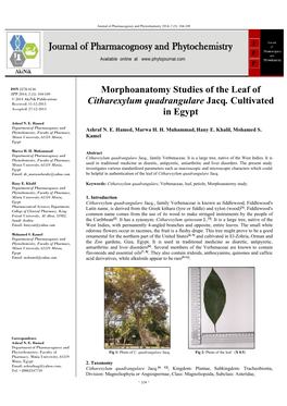 Morphoanatomy Studies of the Leaf of Citharexylum Quadrangulare Jacq. Cultivated in Egypt”, It Could Be Helpful in Authentication of the Leaf