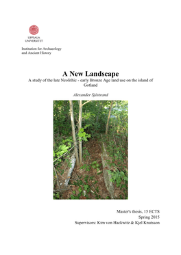 A New Landscape a Study of the Late Neolithic - Early Bronze Age Land Use on the Island of Gotland