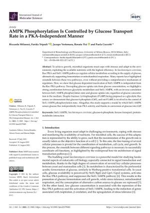 AMPK Phosphorylation Is Controlled by Glucose Transport Rate in a PKA-Independent Manner