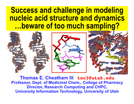 Success and Challenge in Modeling Nucleic Acid Structure and Dynamics
