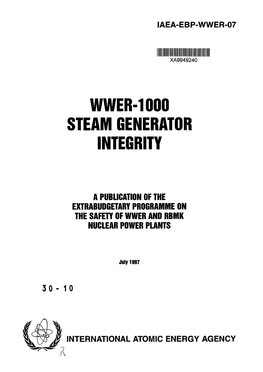 Wwer-1000 Steam Generator Integrity