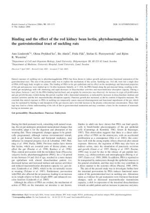 Binding and the Effect of the Red Kidney Bean Lectin, Phytohaemagglutinin, In