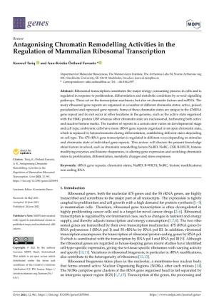 Antagonising Chromatin Remodelling Activities in the Regulation of Mammalian Ribosomal Transcription