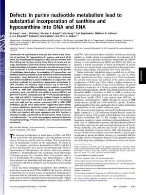 Defects in Purine Nucleotide Metabolism Lead to Substantial Incorporation of Xanthine and Hypoxanthine Into DNA and RNA