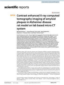 Contrast Enhanced X-Ray Computed Tomography Imaging of Amyloid