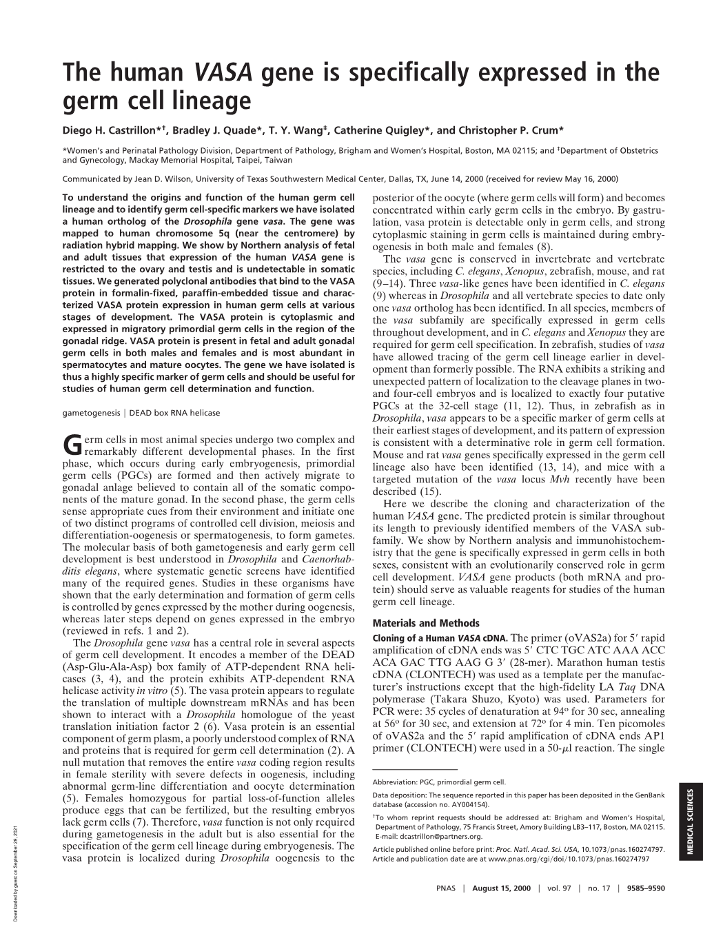 The Human VASA Gene Is Specifically Expressed in the Germ Cell Lineage