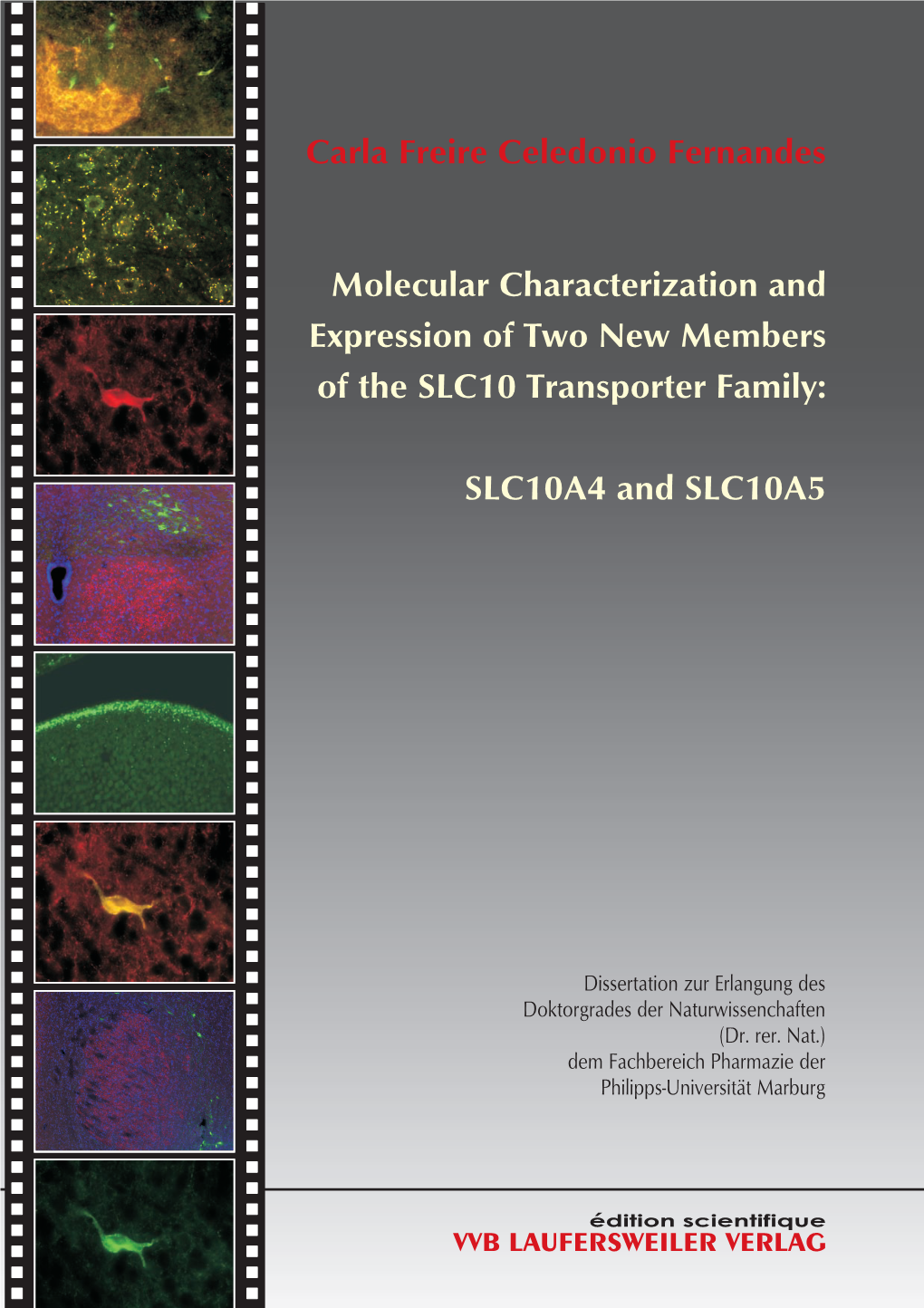 Carla Freire Celedonio Fernandes Molecular Characterization And