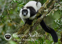 CVB Annual Report, 2019