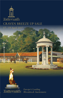 Tattersalls Craven Breeze up Sale 2017