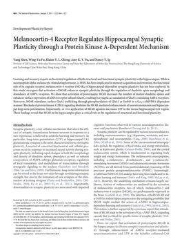 Melanocortin-4 Receptor Regulates Hippocampal Synaptic Plasticity Through a Protein Kinase A-Dependent Mechanism