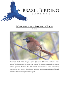 West Amazon Boa Vista Tour