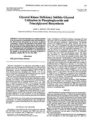 Glycerol Kinase Deficiency Inhibits Glycerol Utilization in Phosphoglyceride and Triacylglycerol Biosynthesis