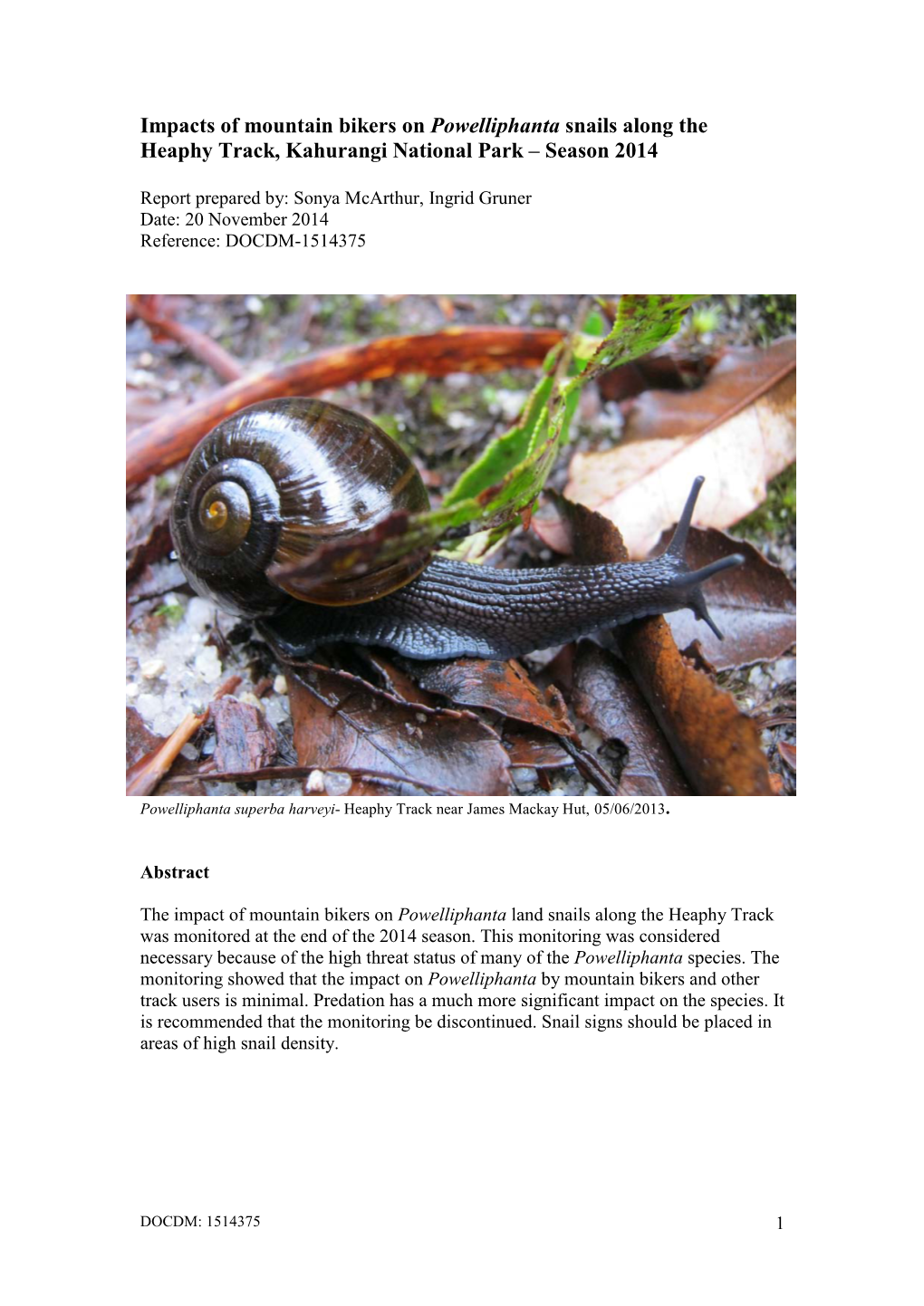 Impacts of Mountain Bikers on Powelliphanta Snails Along the Heaphy Track, Kahurangi National Park – Season 2014