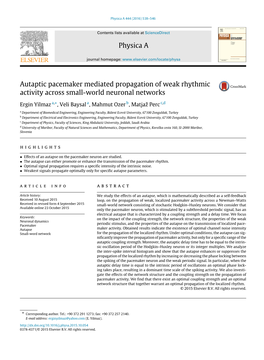 Autaptic Pacemaker Mediated Propagation of Weak Rhythmic Activity Across Small-World Neuronal Networks