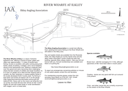 River Wharfe at Ilkley