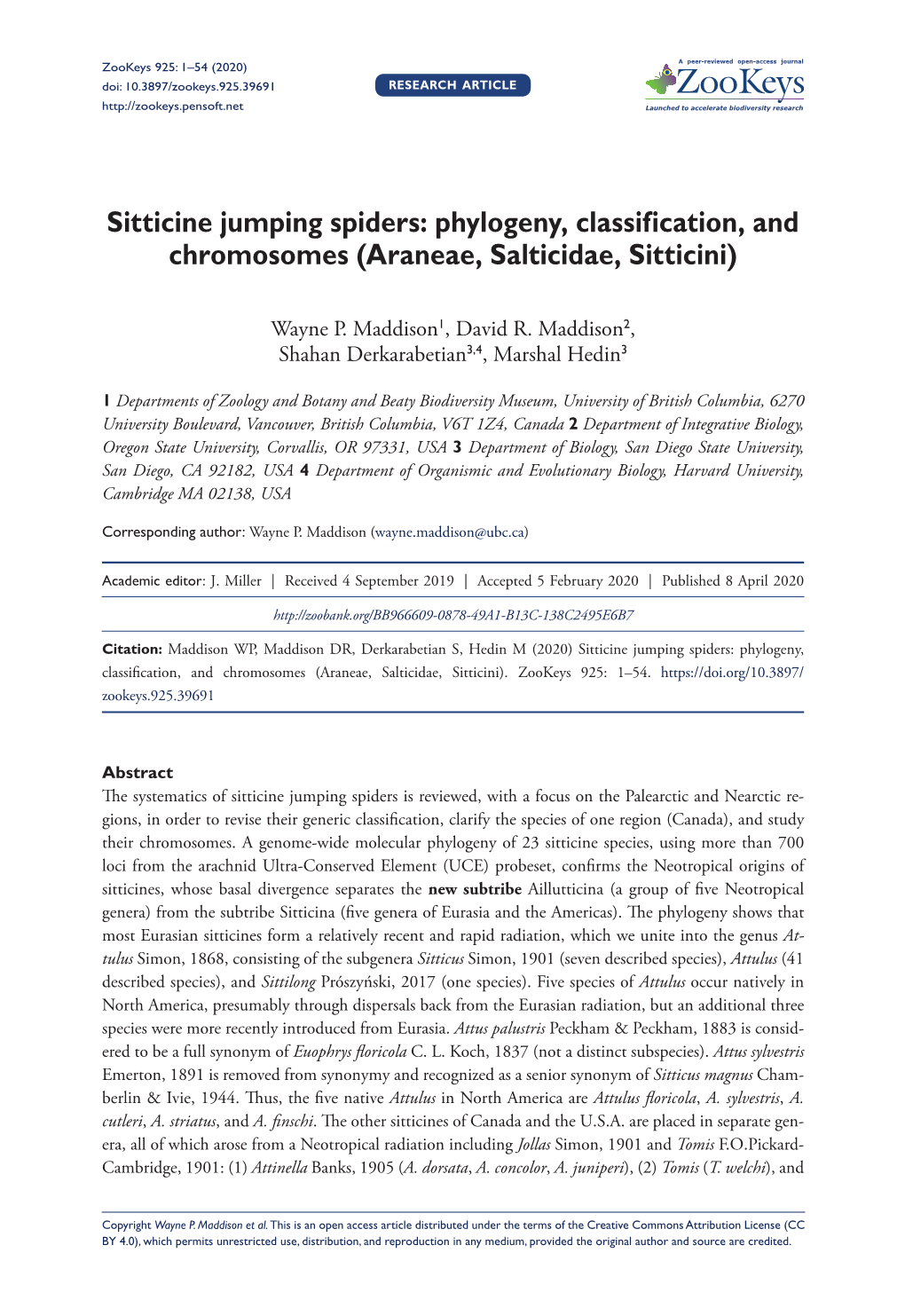 Sitticine Jumping Spiders: Phylogeny, Classification, and Chromosomes (Araneae, Salticidae, Sitticini)