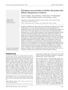 Camelpox Virus Encodes a Schlafen-Like Protein That Affects Orthopoxvirus Virulence