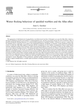 Winter Flocking Behaviour of Speckled Warblers and the Allee Effect
