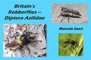 Britain's Robberflies – Diptera Asilidae