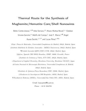 Thermal Route for the Synthesis of Maghemite/Hematite Core/Shell Nanowires