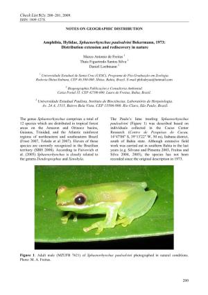 Amphibia, Hylidae, Sphaenorhynchus Pauloalvini Bokermann, 1973: Distribution Extension and Rediscovery in Nature