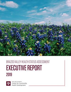2019 Brazos Valley Health Assessment Report