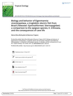Biology and Behavior of Eigenmannia Vicentespelaea, a Troglobitic Electric