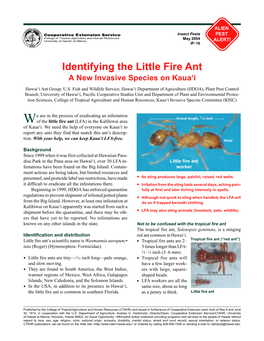Identifying the Little Fire Ant a New Invasive Species on Kaua‘I