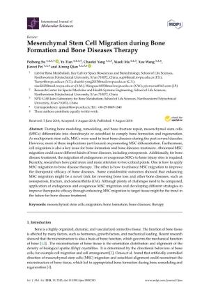 Mesenchymal Stem Cell Migration During Bone Formation and Bone Diseases Therapy