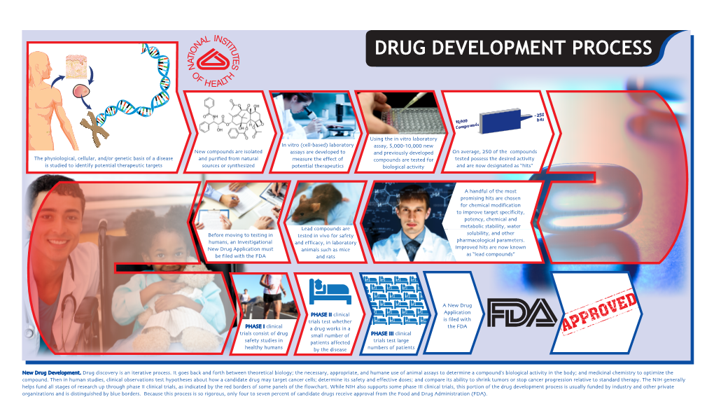 Drug Development Process