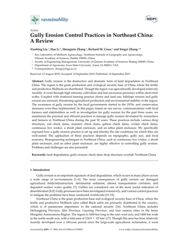 Gully Erosion Control Practices in Northeast China: a Review
