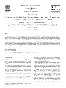 Repeated Cocaine Injections Have No Influence on Tyrosine Hydroxylase Activity in the Rat Nucleus Accumbens Core Or Shell