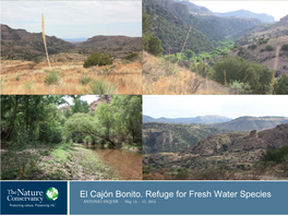 El Cajón Bonito. Refuge for Fresh Water Species ANTONIO ESQUER - May 13 – 17, 2013 REQUEST to the MEETING