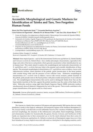Accessible Morphological and Genetic Markers for Identification of Taioba and Taro, Two Forgotten Human Foods