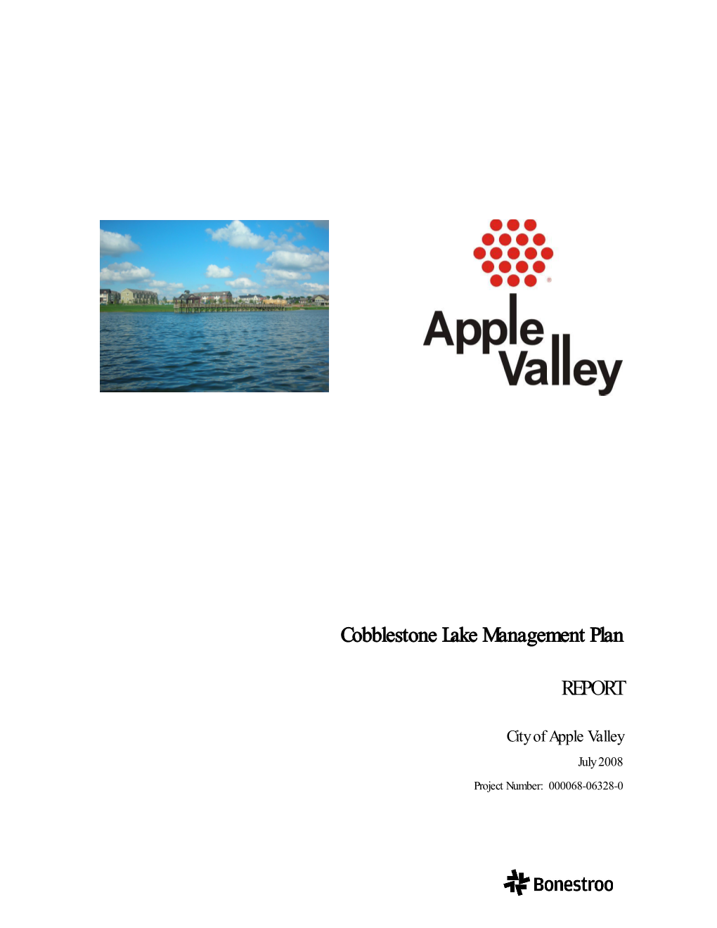 Cobblestone Lake Management Plan REPORT