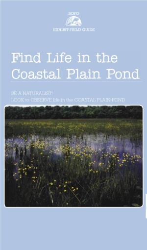 Find Life in the Coastal Plain Pond