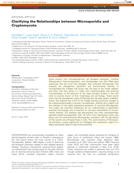 Clarifying the Relationships Between Microsporidia and Cryptomycota