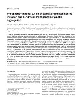Phosphatidylinositol 3,4-Bisphosphate Regulates Neurite Initiation and Dendrite Morphogenesis Via Actin Aggregation