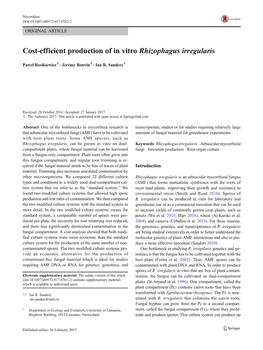 Cost-Efficient Production of in Vitro Rhizophagus Irregularis