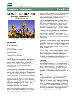 (Solidago Sempervirens) Plant Guide