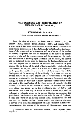 Great Stress Locules, and Primary Rutaceae-Aurantioideae, Impor