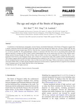 The Age and Origin of the Straits of Singapore ⁎ M.I