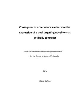 Consequences of Sequence Variants for the Expression of a Dual Targeting Novel Format Antibody Construct