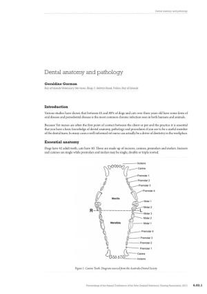 Dental Anatomy and Pathology
