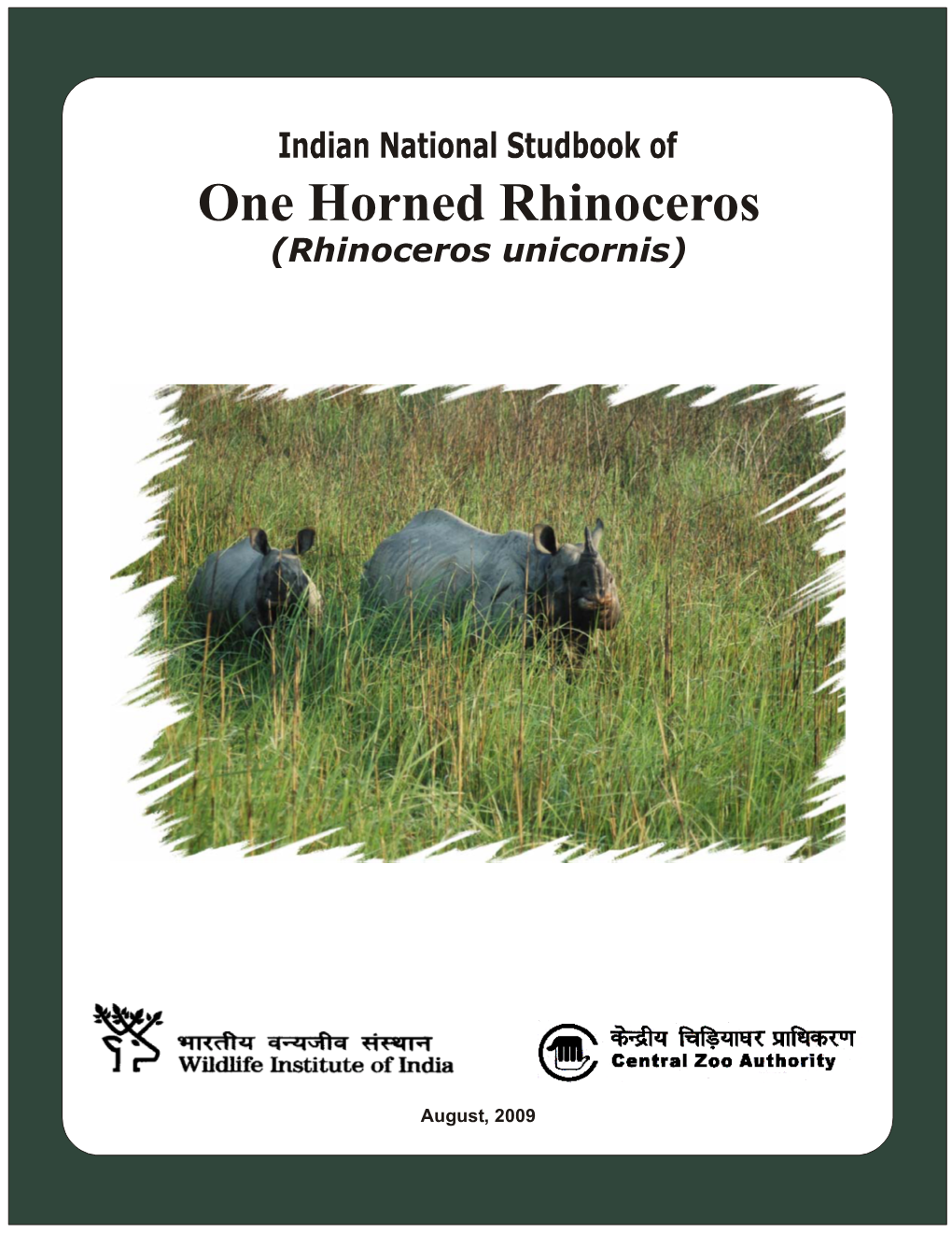 One Horned Rhinoceros (Rhinoceros Unicornis)