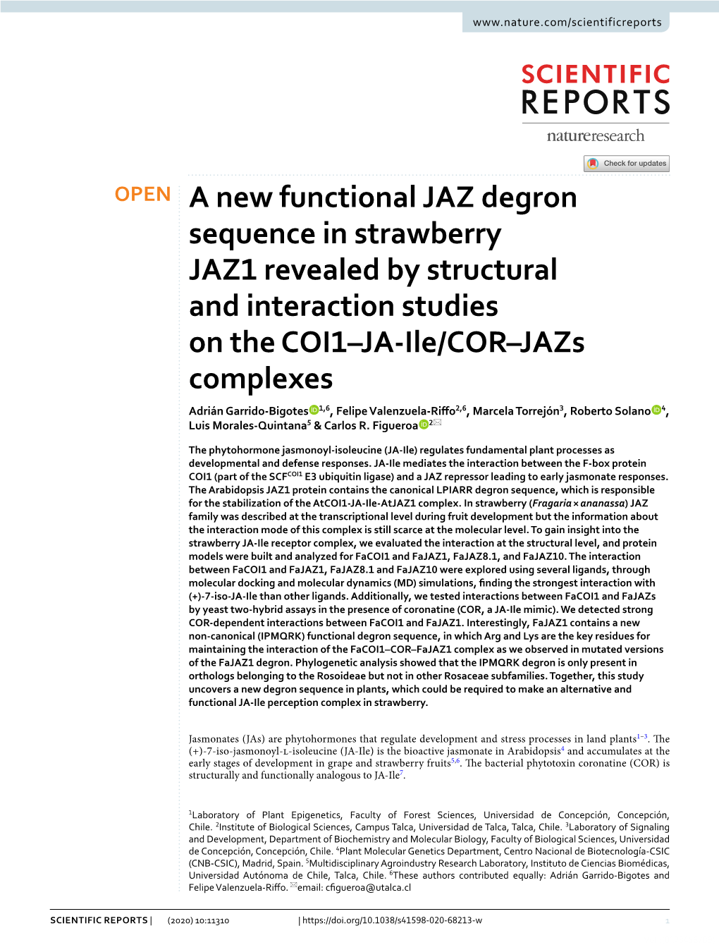 A New Functional JAZ Degron Sequence in Strawberry JAZ1