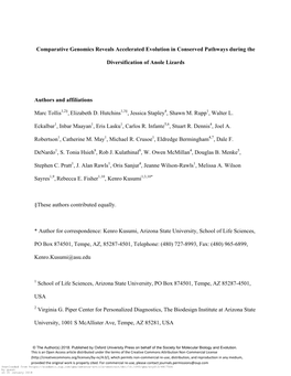 Comparative Genomics Reveals Accelerated Evolution in Conserved Pathways During The